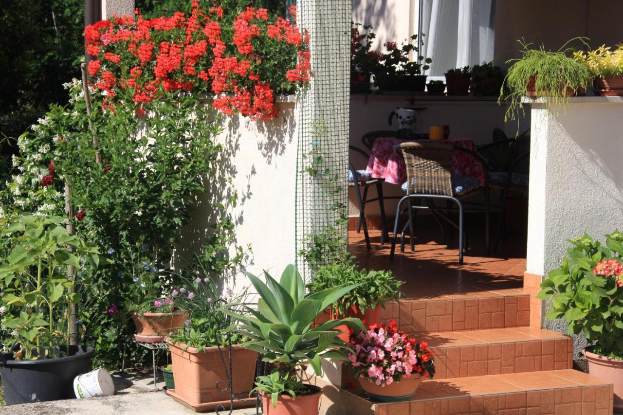 Apartman Rino Bašanija Exterior foto